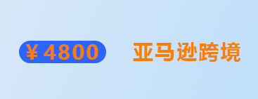 亚马逊电商